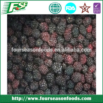 2014 New season iqf blackberries ,iqf Blackberry supplier