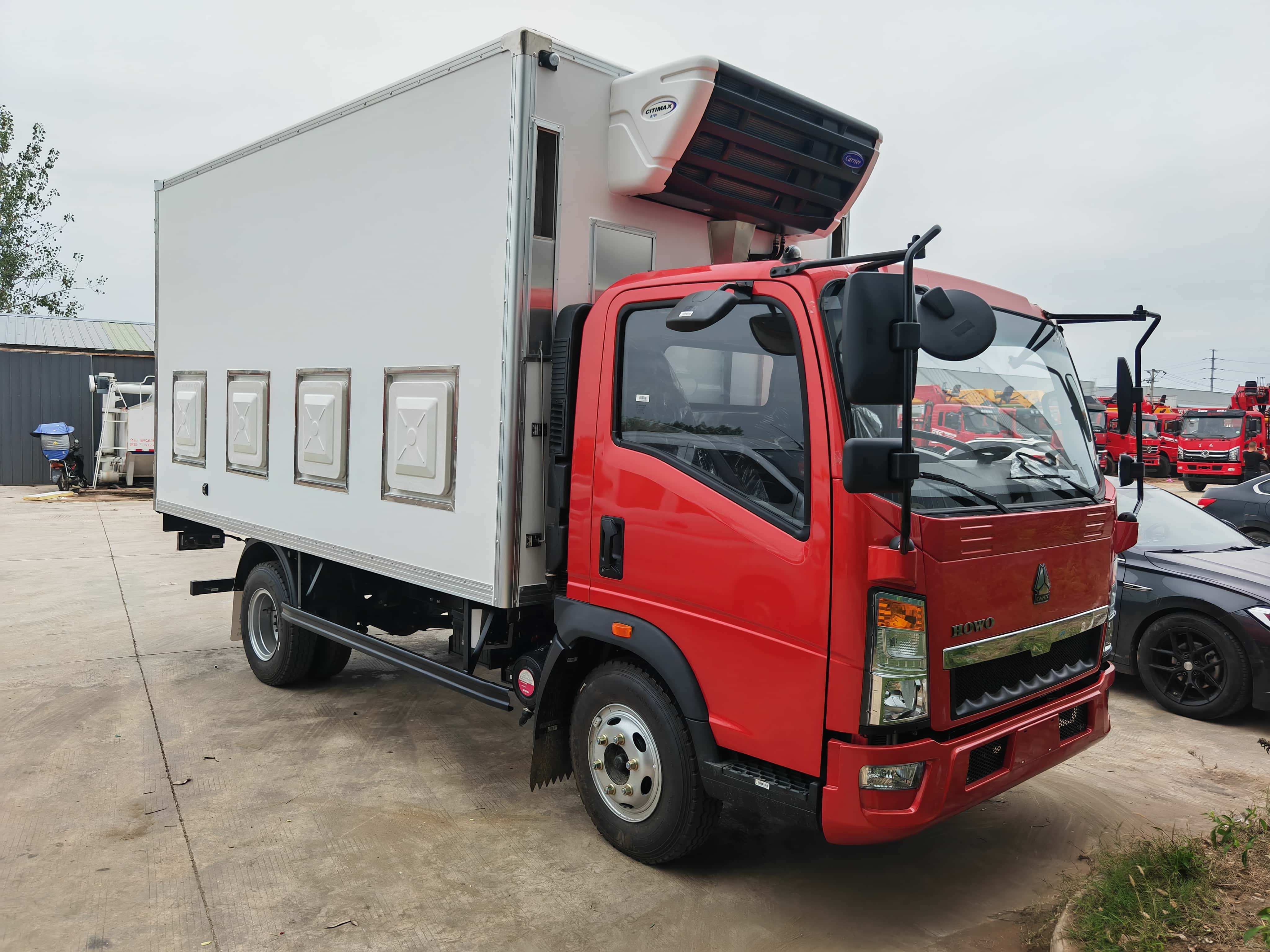 HOWO 2 axles chick baby transport truck