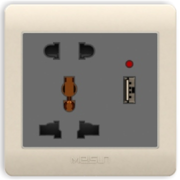 2 and multifunction socket with one gang USB