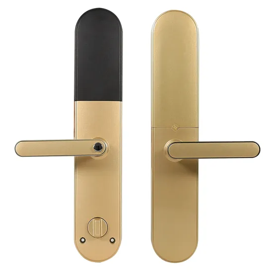 Gold Fashion Smart Electronic Door Lock for Home, Hotels, and Apartments