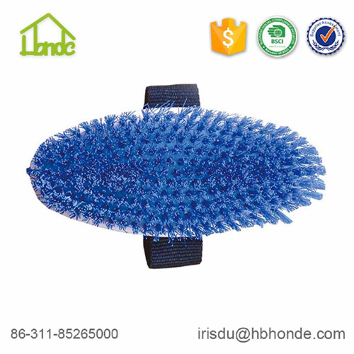 horse blue bristle