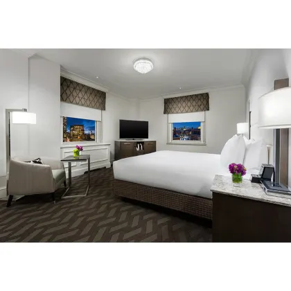 Park Plaza Radisson Hotel Five-Star Bedroom Furniture Set