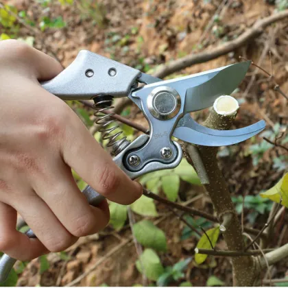 Grape Shears Scissors Bypass Garden Pruning Shears