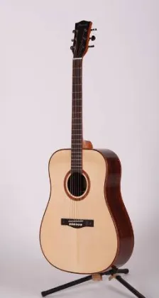 Ovation guitar