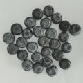 China High Quality Freeze Dried Blueberry Factory