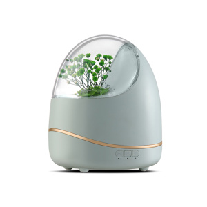 Google home Flower Aroma smart diffuser lamp