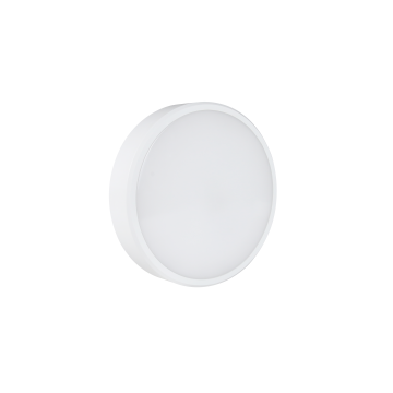 IP66 Outdoor Waterproof Light with Motion Sensor: Manufacturer and Supplier