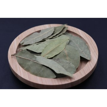 Bay Lá với giá tốt nhất