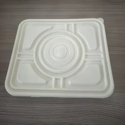 Biodegradable Cornstarch Bagasse Fast Food Packaging Container