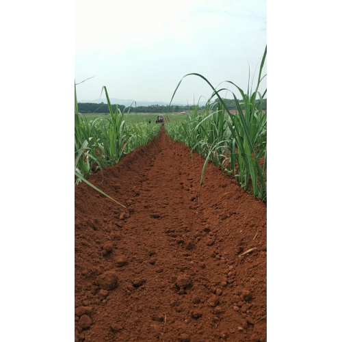 Asie polyvalente Machines agricoles Tracteur de canne à sucre