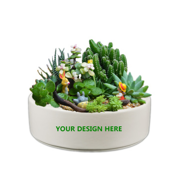 Modern 8 Inch Indoor White Ceramic Porcelain Narcissus Flower Pots