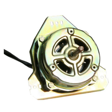Washing Machine Motor