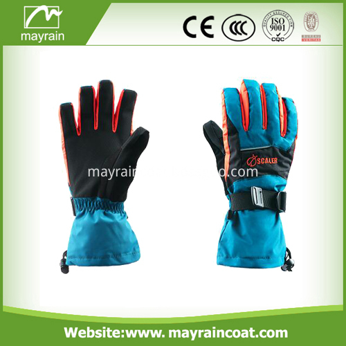 Ski Gloves Wholesale Gloves