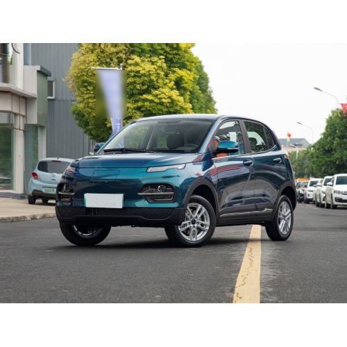 Dayun Electric Vehicle Yuehu Hot-selling New Energy Vehicle High-speed EV