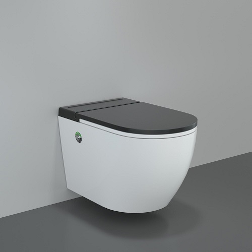 Wall Mounted European Water Closet Toilet Images & Photos