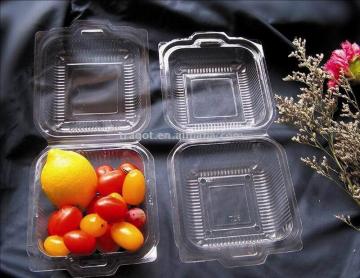 Fruit Container, Fruit Tray, Clamshell