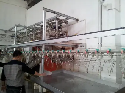 500bph chicken slaughtering line for chicken slaughterhouse equipment