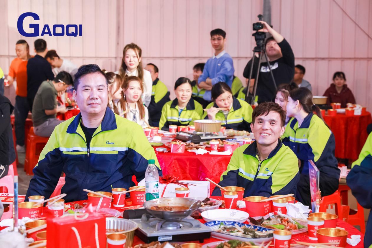 Dongguan Gaoqi Electronics Co.Ltd