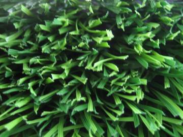 High Quality Grass for Monofilament Yarn