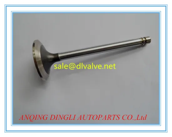 engine valve for Peugeot 504 OEM 9151054880 9710028074