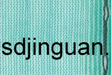 Safety Debris Netting