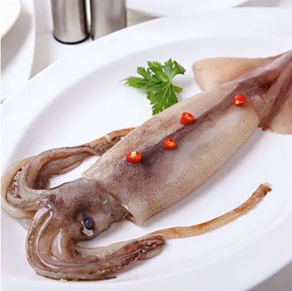 Whole Round Argentine Squid