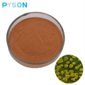 /msite/products/detail/productid/59339329/id/686361.html
