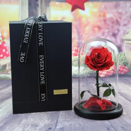 Last 5 Years Glass Cover Preserved Real Red Color Little Prince Forever Rose