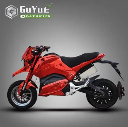 Adult Racing Electric Motorcycle