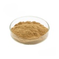 Buy online active ingredients price Oyster Powder