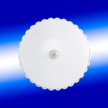 Body Induction lamp