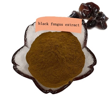Estratto di fungo nero naturale puro al 100% in polvere / estratto di padiglione auricolare auricolaria