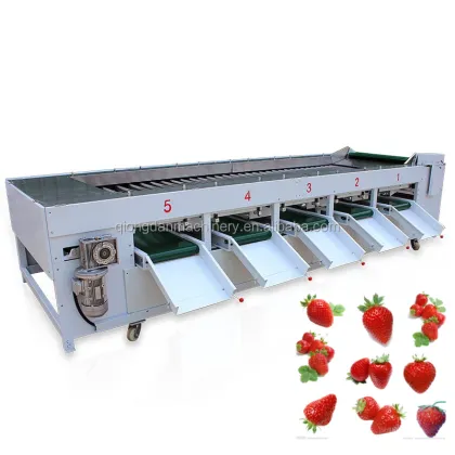 Vegetable and Fruit Sorting and Grading Machine