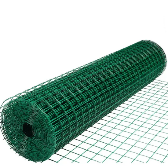 Holland Wire Mesh For Sale