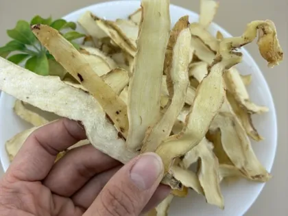Dried Polygonatum Odoratum Root Slices