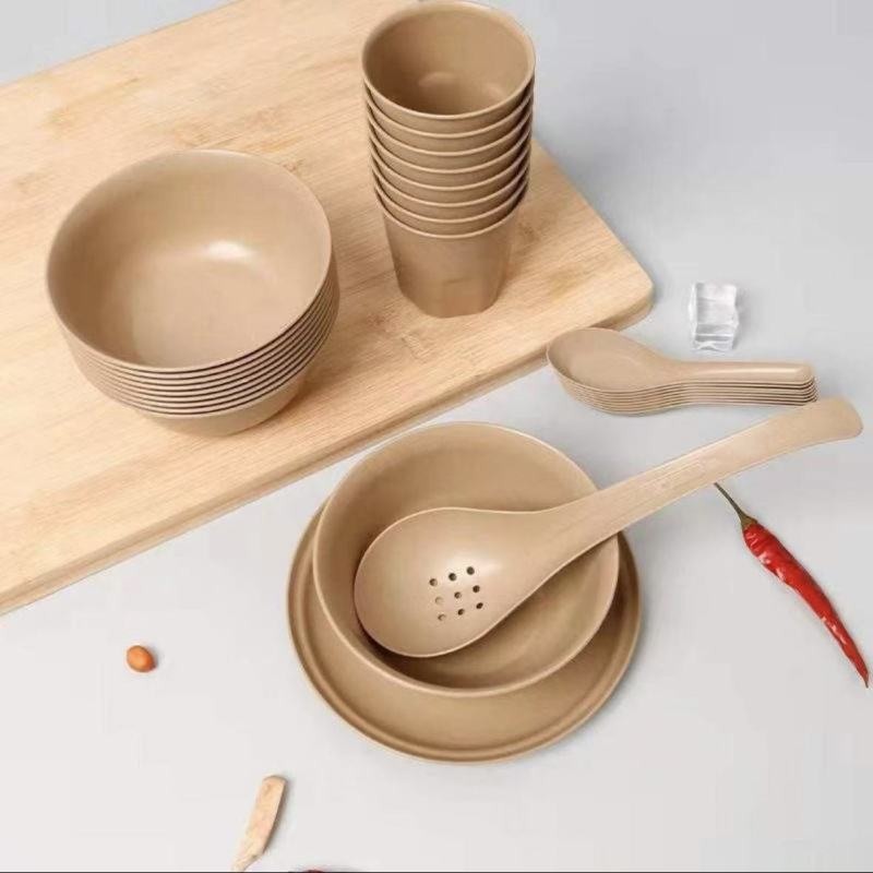Eco-friendly Disposable Tableware for Daily Use