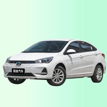 2022 EV Car SINOGOLD JunXing Electric Vehicle for Sale