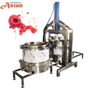 Raspberry and Grape Wine Preprocessing Juicing Filter Machine