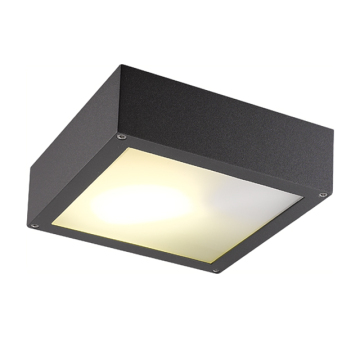 E27 Outdoor Ceiling Light 5489-E27