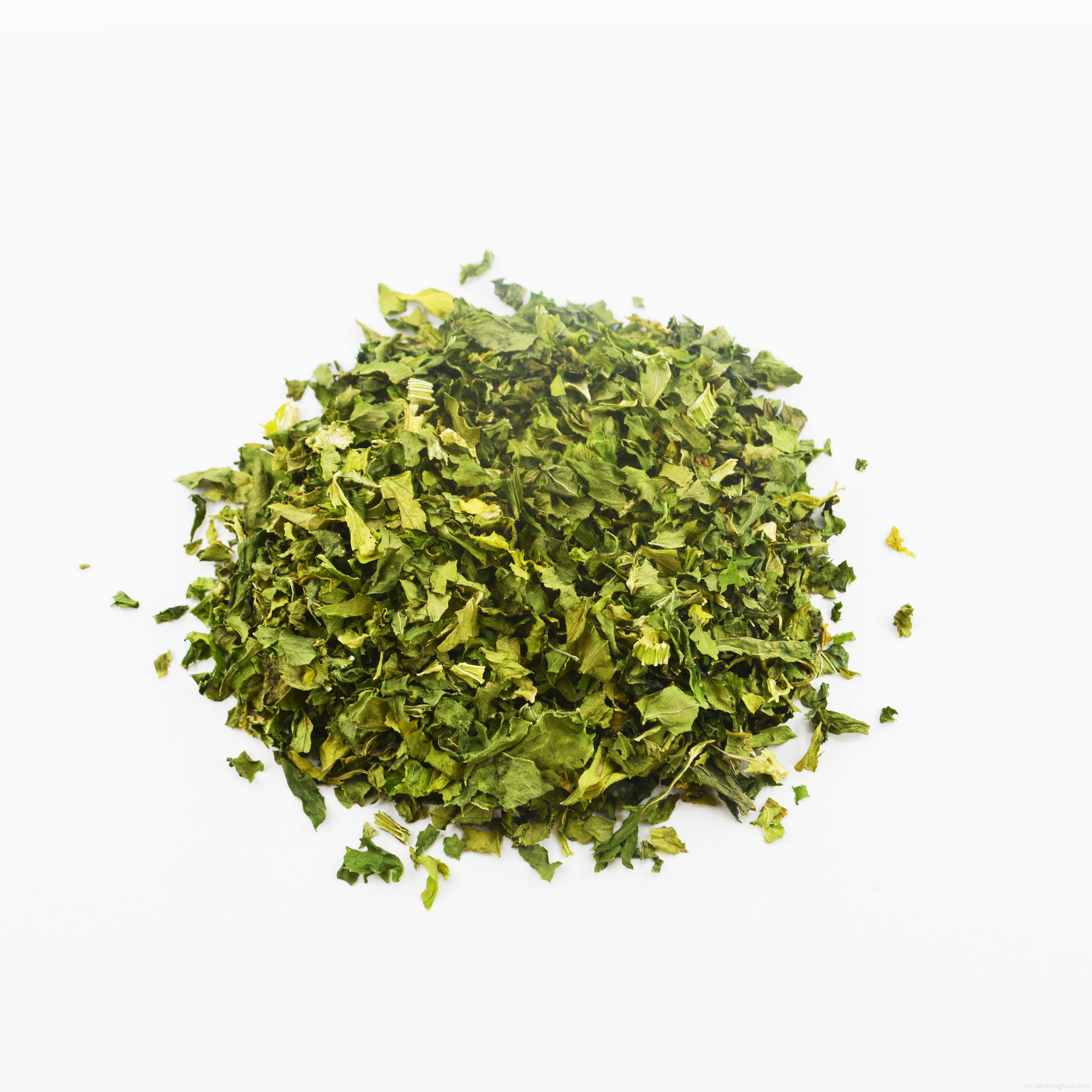 Herba Rempah Tunggal Sayuran Saderi Parsley