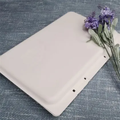 Molded Paper Pulp Clothes Sports Wear Packaging Box