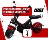 Gudang EU Luqi Mobility Electric Motosikal untuk Keluarga