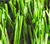 synthetic grass for soccer fields, World cup