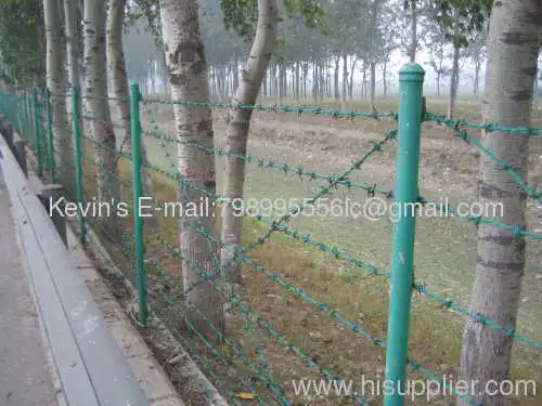 Galvanized /pvc Coated Barbed Wire/galvanized/pvc Coated Razor Wire 