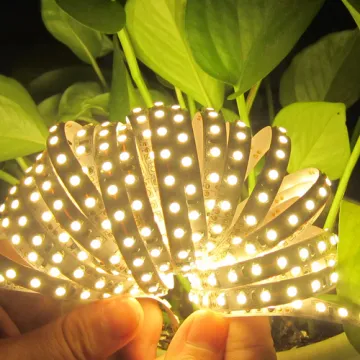 High Quality DC 12V Waterproof 60leds SMD2835 Led Strip Light