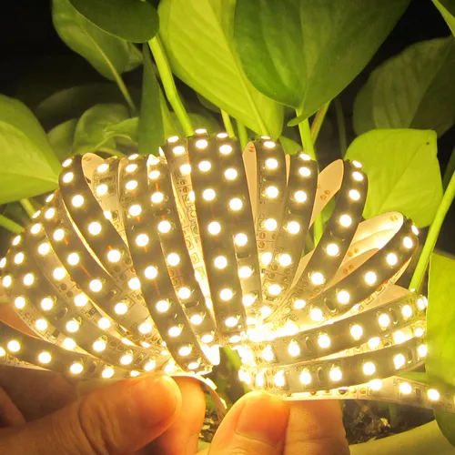 Distributors Wanted with CCT Adjustable SMD2835 LED Strip Light      Distributors Wanted with CCT Adjustable SMD2835 LED Strip