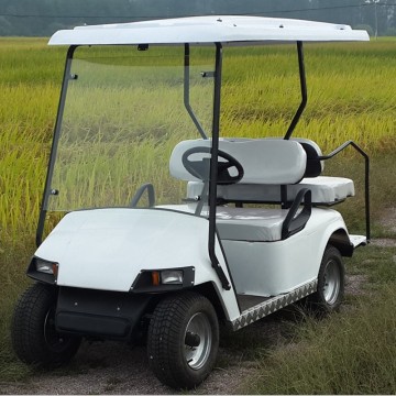 electric 2+2 seat golf cart