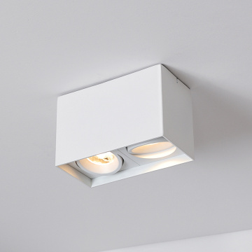 2*8W Brick Surface Mount Gimble Tiltable Downlight