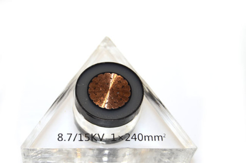 XLPE Insulated Power Cable (YJV 8.7/10kv)