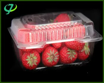 Customizable Food Grade PVC Vacuum-Formed Cake and Bread Boxes Custom Logo/Graphic Design for Multi-Purpose Use